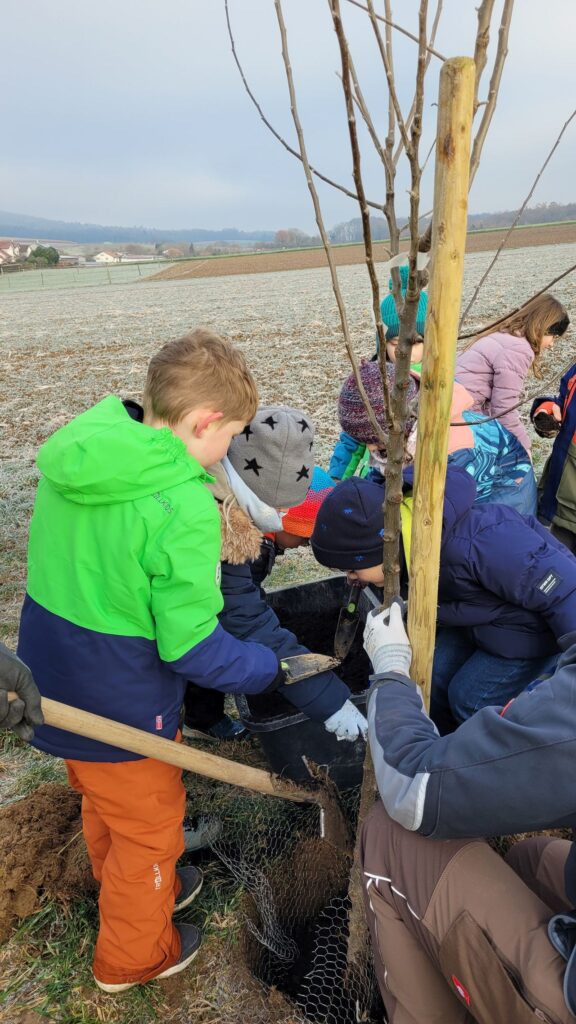 Unser Quellen-Wäldchen wächst um zwei weitere Jahrgangsbäume!